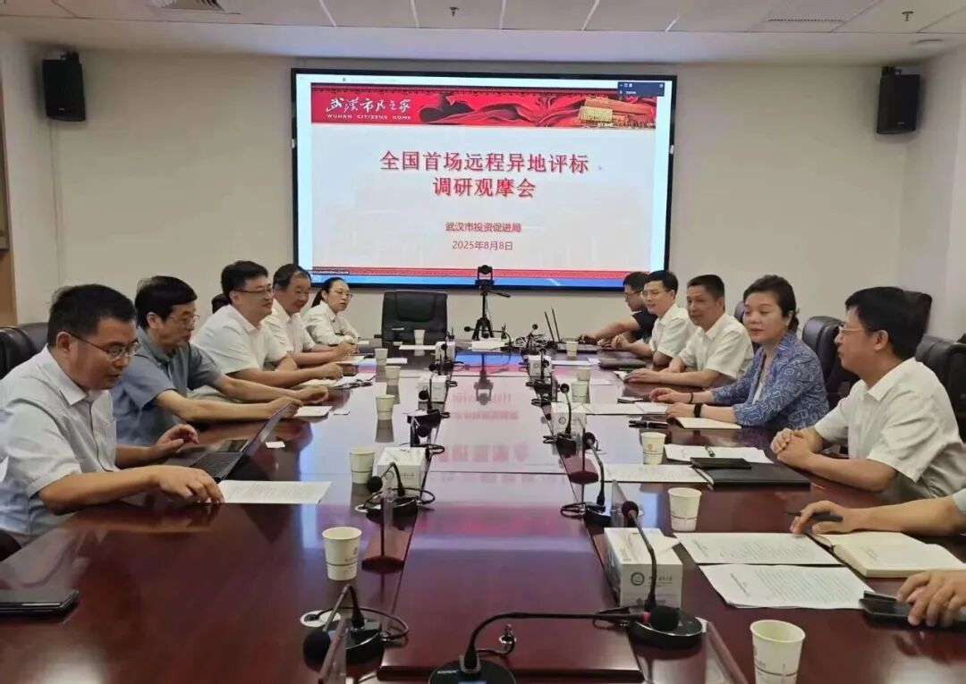 遠程異地評標(biāo)，湖北首例執(zhí)行、首個“點亮”